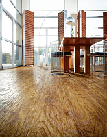 Кварцвиниловые полы FF-1900 Rich 1967 Пекан Барроу фото 1 | FLOORDEALER